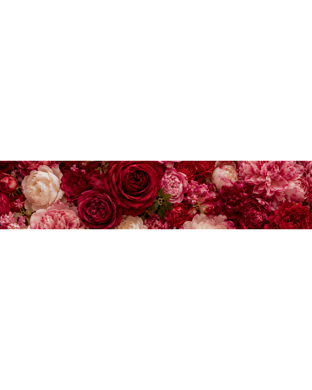 Floral border with red and pink roses on a white background match brand name ROSEMO
